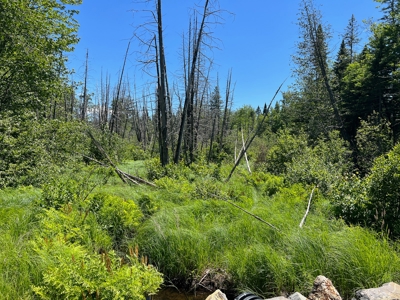 Moosehead Region Maine Land For Sale - image 14