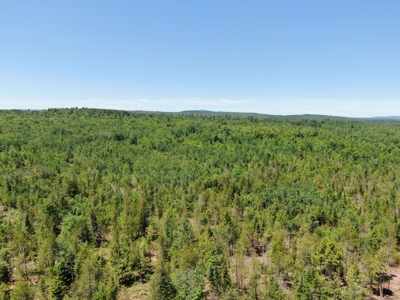 Moosehead Region Maine Land For Sale - image 5