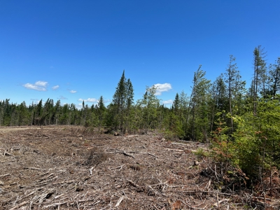 Moosehead Region Maine Land For Sale - image 11