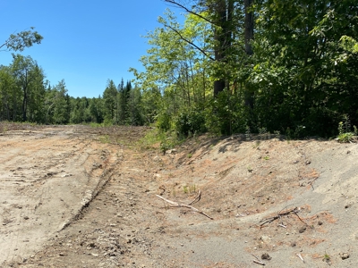 Moosehead Region Maine Land For Sale - image 23