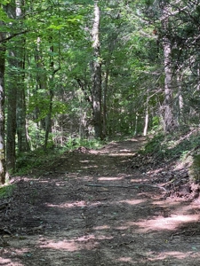 237.98 Acres For Sale in Tazewell, TN - image 32