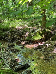 237.98 Acres For Sale in Tazewell, TN - image 27