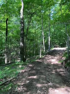 237.98 Acres For Sale in Tazewell, TN - image 15