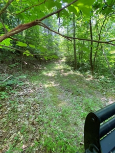 237.98 Acres For Sale in Tazewell, TN - image 26