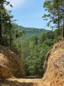 237.98 Acres For Sale in Tazewell, TN - image 13