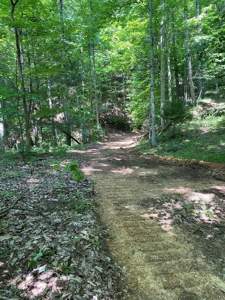 237.98 Acres For Sale in Tazewell, TN - image 6