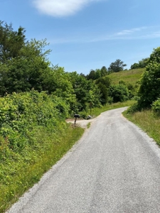 237.98 Acres For Sale in Tazewell, TN - image 23