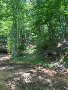 237.98 Acres For Sale in Tazewell, TN - image 8