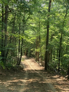 237.98 Acres For Sale in Tazewell, TN - image 11