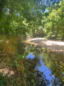 Year Round Creek on 30 Acre Land with Two Homes For Sale - image 44