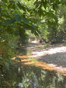 Year Round Creek on 30 Acre Land with Two Homes For Sale - image 45