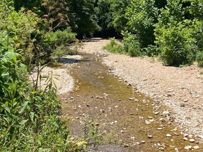 Year Round Creek on 30 Acre Land with Two Homes For Sale - image 48