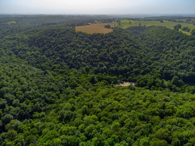 Year Round Creek on 30 Acre Land with Two Homes For Sale - image 40