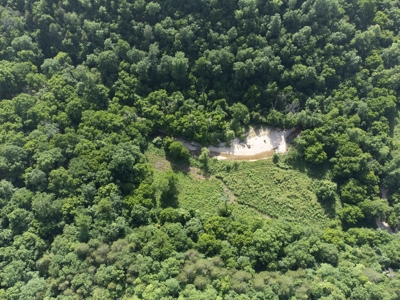 Year Round Creek on 30 Acre Land with Two Homes For Sale - image 43