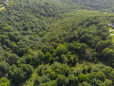 Year Round Creek on 30 Acre Land with Two Homes For Sale - image 39