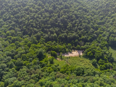 Year Round Creek on 30 Acre Land with Two Homes For Sale - image 41
