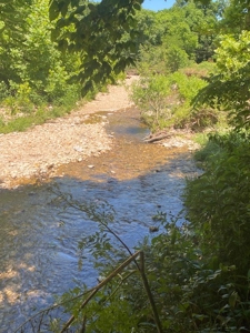 Year Round Creek on 30 Acre Land with Two Homes For Sale - image 46