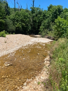 Year Round Creek on 30 Acre Land with Two Homes For Sale - image 49