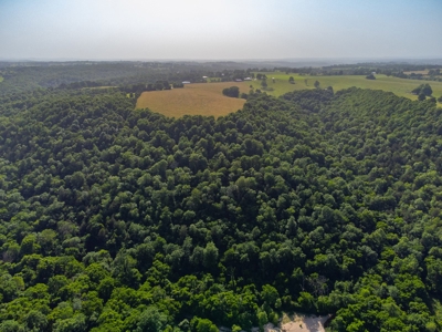 Year Round Creek on 30 Acre Land with Two Homes For Sale - image 42