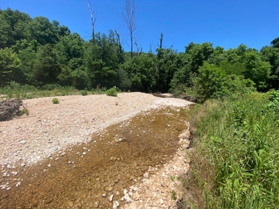 Year Round Creek on 30 Acre Land with Two Homes For Sale - image 50