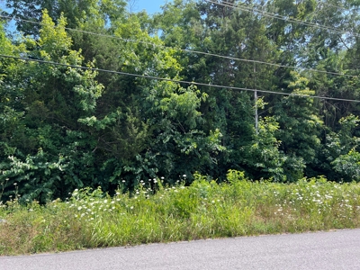 15 Acres Unrestricted Land For Sale in East TN - image 2