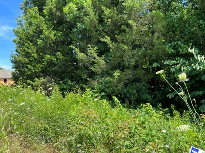 15 Acres Unrestricted Land For Sale in East TN - image 3