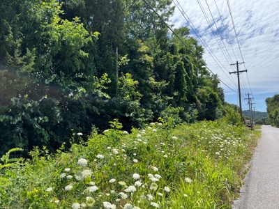 15 Acres Unrestricted Land For Sale in East TN - image 4