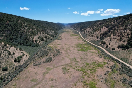 Colorado Mountain 120 Acres with Power, Creek, Bordering BLM - image 14