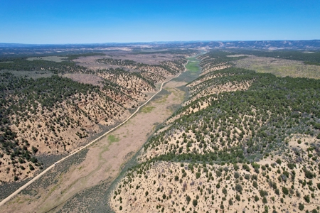 Colorado Mountain 120 Acres with Power, Creek, Bordering BLM - image 9