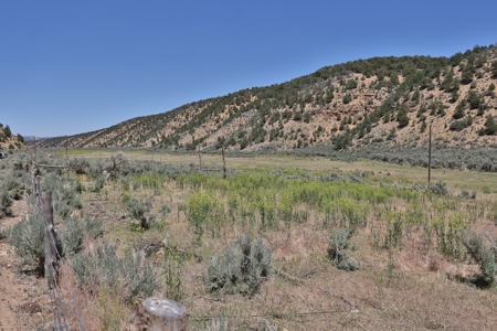 Colorado Mountain 120 Acres with Power, Creek, Bordering BLM - image 6