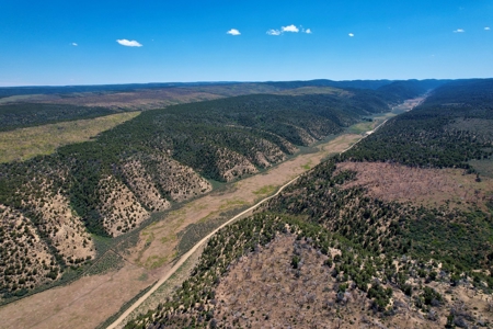 Colorado Mountain 120 Acres with Power, Creek, Bordering BLM - image 16