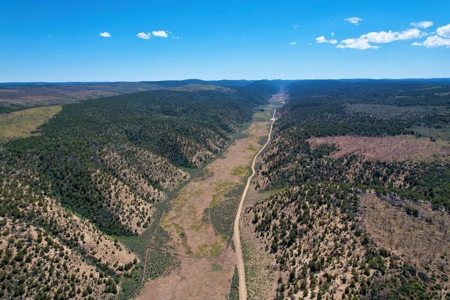 Colorado Mountain 120 Acres with Power, Creek, Bordering BLM - image 15