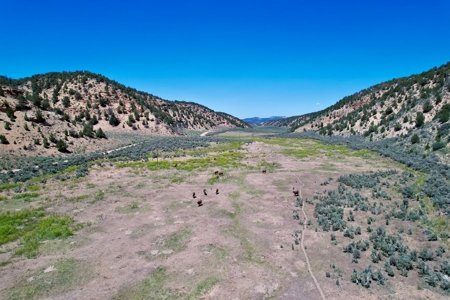 Colorado Mountain 120 Acres with Power, Creek, Bordering BLM - image 21