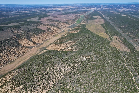 Colorado Mountain 120 Acres with Power, Creek, Bordering BLM - image 11