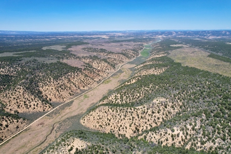 Colorado Mountain 120 Acres with Power, Creek, Bordering BLM - image 10