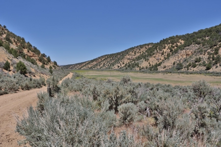Colorado Mountain 120 Acres with Power, Creek, Bordering BLM - image 4
