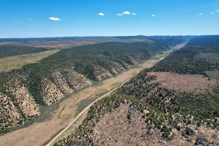 Colorado Mountain 120 Acres with Power, Creek, Bordering BLM - image 17