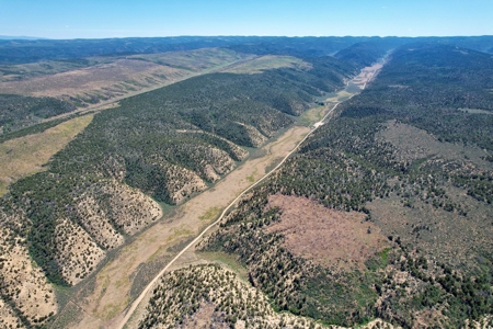 Colorado Mountain 120 Acres with Power, Creek, Bordering BLM - image 19