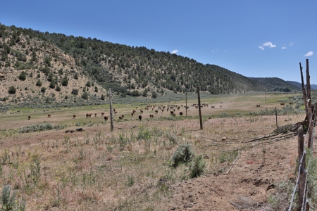 Colorado Mountain 120 Acres with Power, Creek, Bordering BLM - image 5