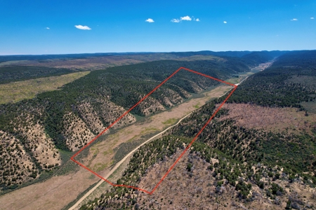 Colorado Mountain 120 Acres with Power, Creek, Bordering BLM - image 1