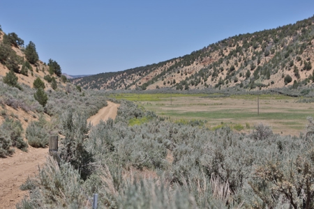 Colorado Mountain 120 Acres with Power, Creek, Bordering BLM - image 2