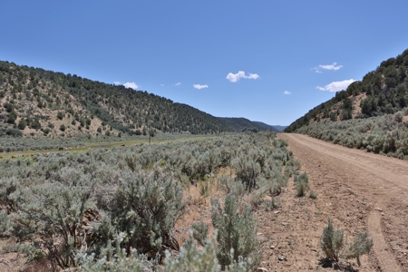 Colorado Mountain 120 Acres with Power, Creek, Bordering BLM - image 3