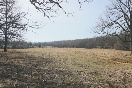 Land For Sale in Myrtle, MO - image 1