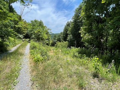 Wooded Property for Sale in Bedford County VA - image 12