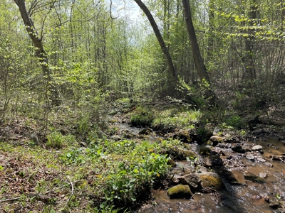Wooded Property for Sale in Bedford County VA - image 11