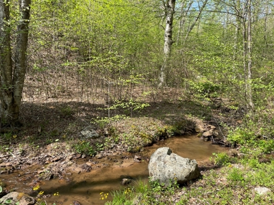 Wooded Property for Sale in Bedford County VA - image 9