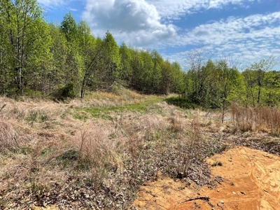 Wooded Property for Sale in Bedford County VA - image 1