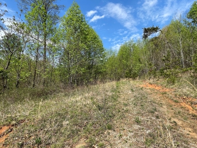 Wooded Property for Sale in Bedford County VA - image 5