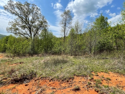 Wooded Property for Sale in Bedford County VA - image 6