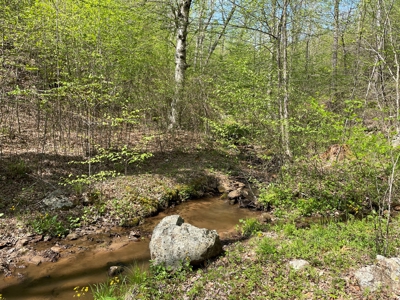 Wooded Property for Sale in Bedford County VA - image 8
